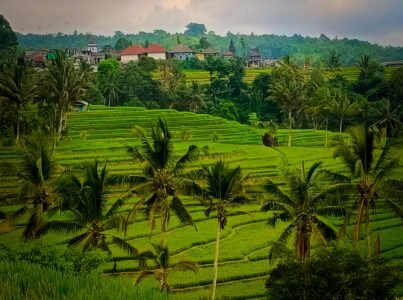Kolkata to Bali: A Complete 14-Day Travel Guide (With Real Costs & Itinerary) 12